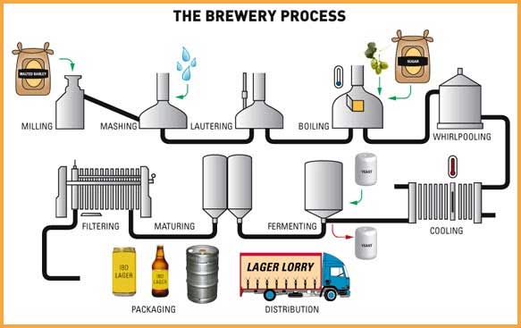 วิธีผลิตเบียร์